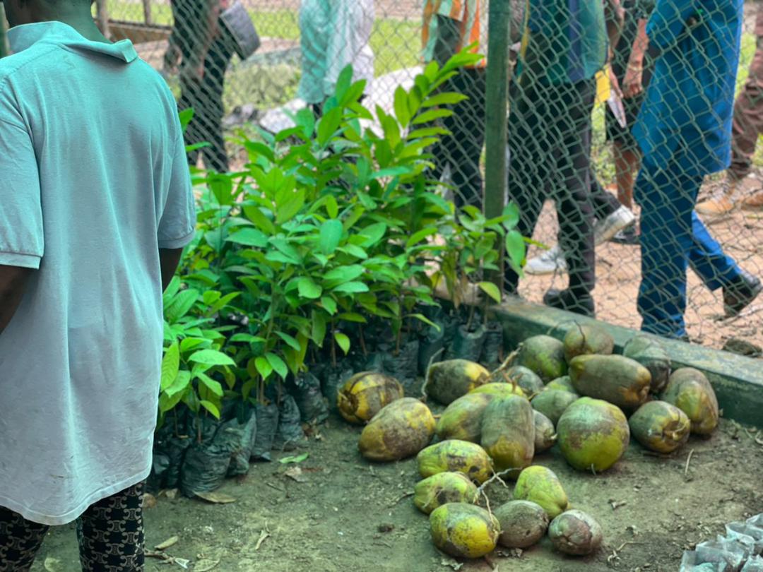 Agricultural Study Tour